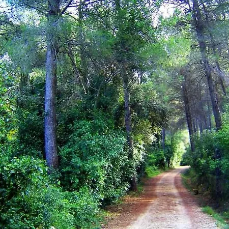 Casa Rural Ca Xelo 2 Polinya de Xuquer
